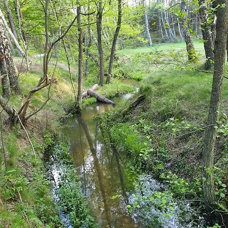 Osada Sosnowa