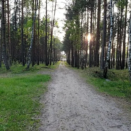 Osada Sosnowa Kopalino