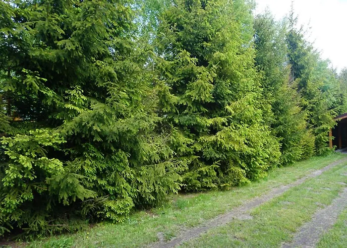 Osada Sosnowa Jaktstuga